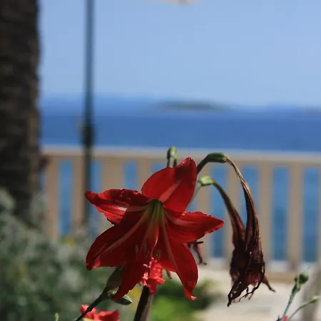 By The Sea Orebic, Peljesac - 9452 Orebić