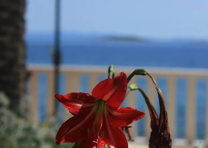 By The Sea Orebic, Peljesac - 9452 오레비츠